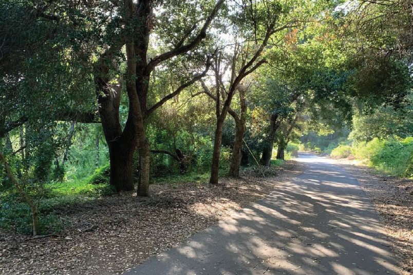 Bob Jones Trail, Avila