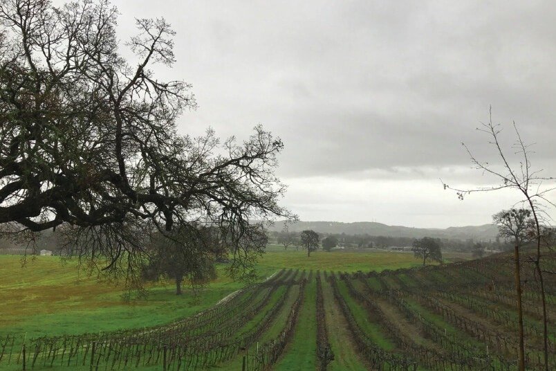 Castoro Vineyard, Templeton