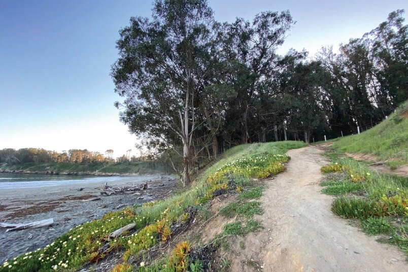 William Randolph Hearst Memorial Beach, San Simeon