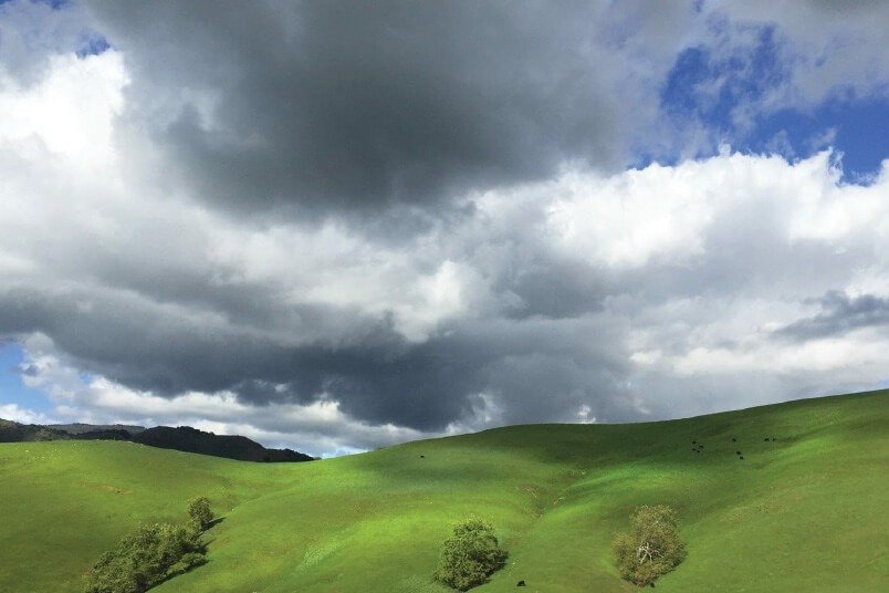 Hillside Shadows, Cambria