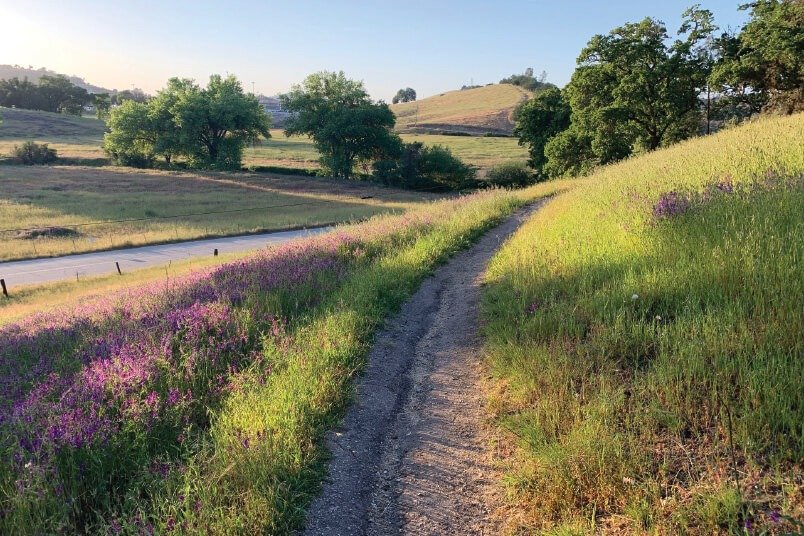 Las Lomas Nature Path, Atascadero