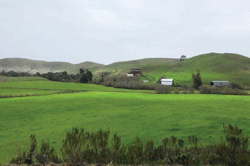 Spring Pastoral, Cambria