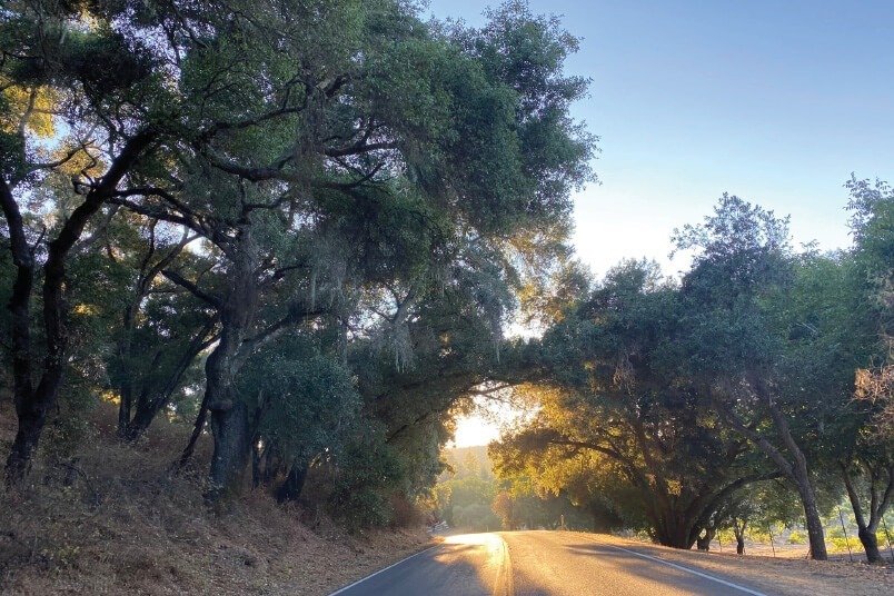 Vineyard Drive, Templeton